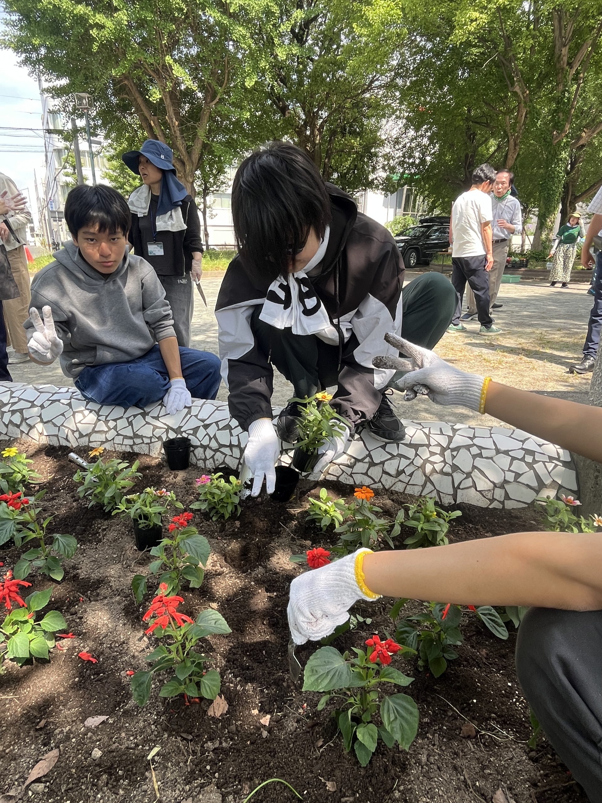 【ボランティア】花植え活動🌼